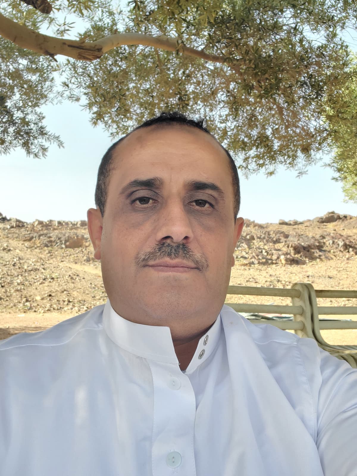 محمد الكامل