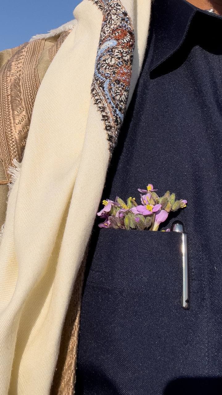 معتز سعد