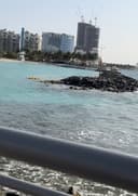 صبحيه    الشمري